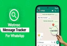 iStudyInfo WhatsApp Track