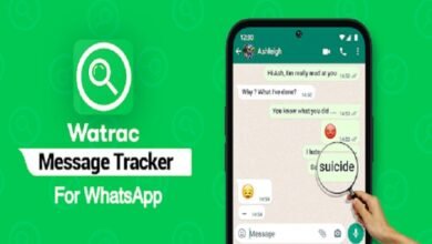 iStudyInfo WhatsApp Track