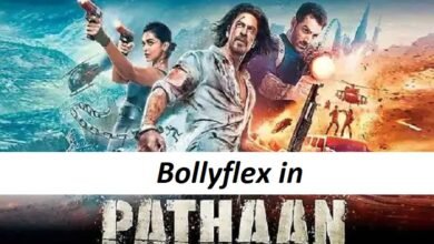 bollyflex in