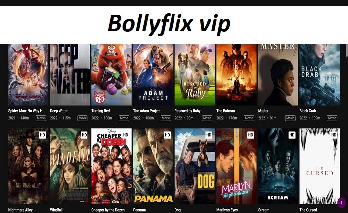 bollyflix vip